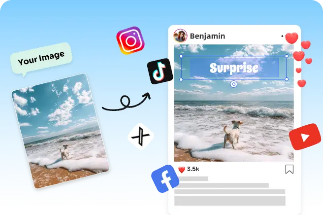 share a dog standing on beach image with text on social media