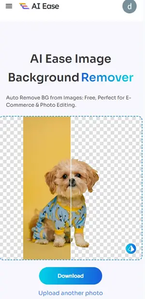Upload Photo to Remove