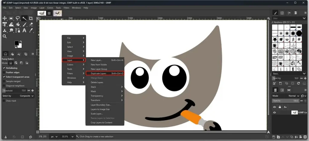 choose duplicate layer