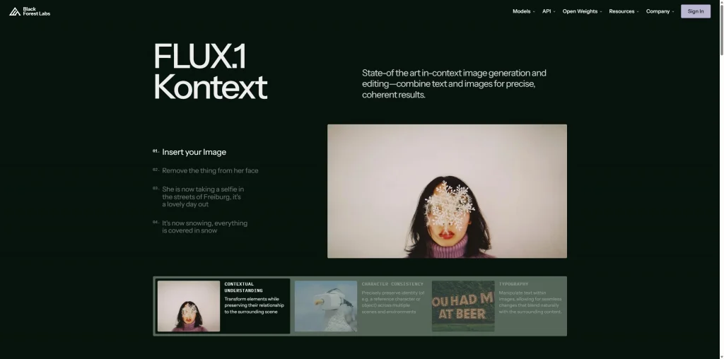 a screenshot of flux kontext interface
