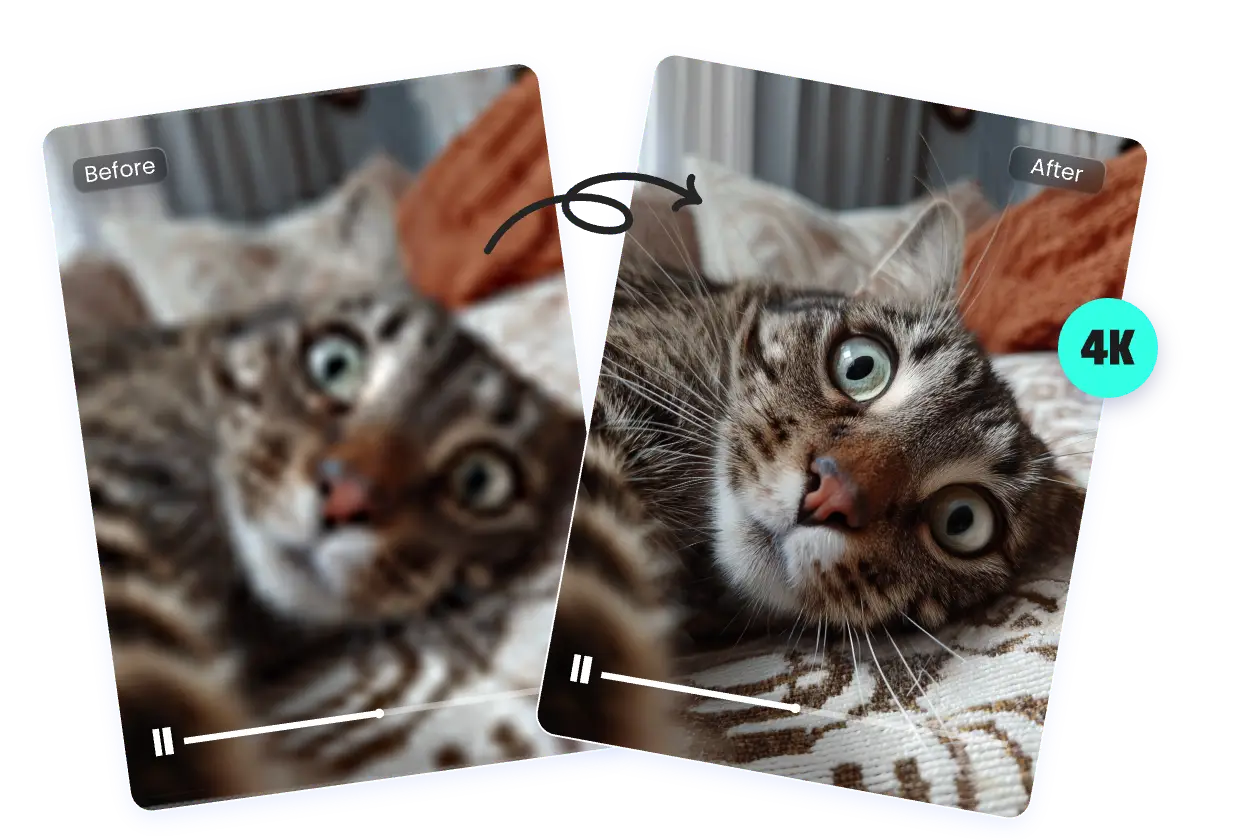 before and after contrast of a cat video restoring lost details and adding pixels